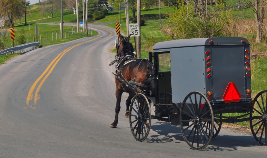Can You Get a DUI/OVI on a HorseDrawn Buggy in Ohio? DUI News Blog